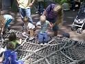 2010-05-29 12.53.53